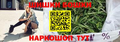 индика Татарск