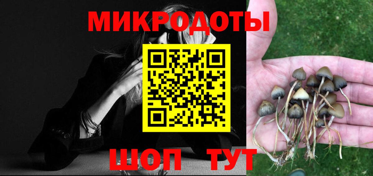 Псилоцибиновые грибы MAGIC MUSHROOMS  цена   Партизанск  Псилоцибиновые грибы GOLDEN TEACHER  Вход с VPN 